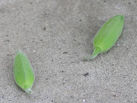 �ڂ݂���������Ă��܂���