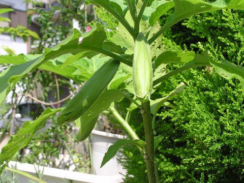 �ڂ݂������I