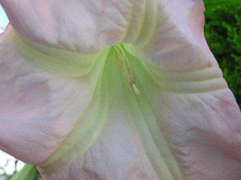 �ԋ߂Ɍ�����