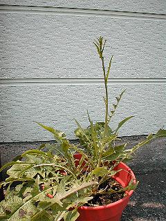 �`�R�����V