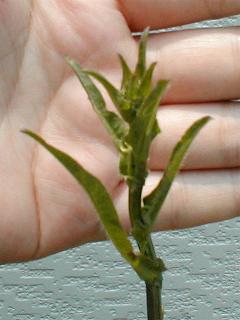 �`�R�����V