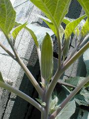 �P�`���E�Z���A�T�K�I�H