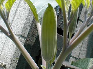 �P�`���E�Z���A�T�K�I�H