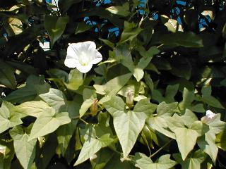 �R�q���K�I