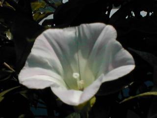 �R�q���K�I