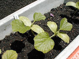 �琬�q���E�^��