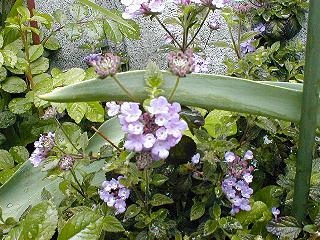 �����^�i