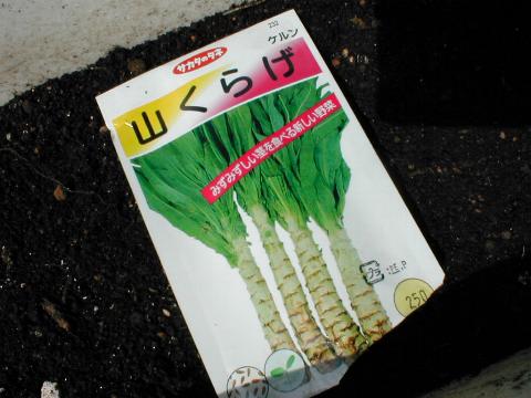 ���}�N���Q