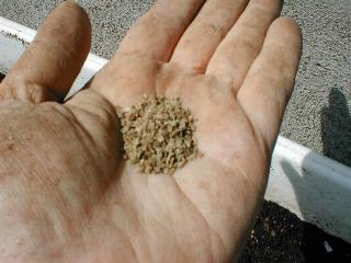 ���}�N���Q�̎�