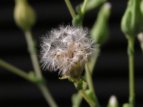 �킪�ł���