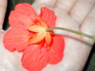 �L�������J