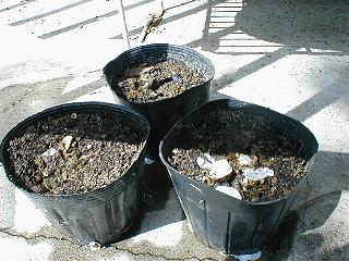 �����܂���