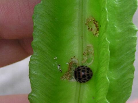 �j�W���E���z�V�e���g�E