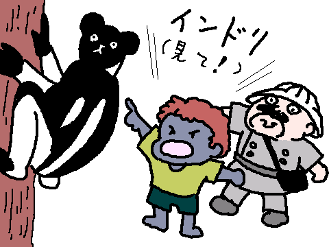 �C���h��