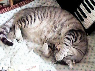 ���ɂ͓�������Ė��邱�Ƃ����邳