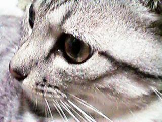 �N�[���ȃI���T�}