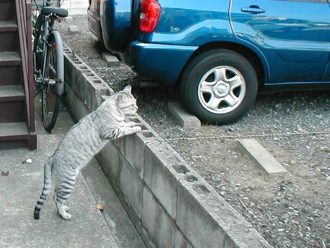 ���̕ǂ��z������