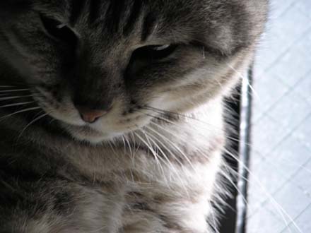 �`���C�����C����Ă݂�