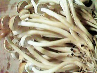 �����̂���