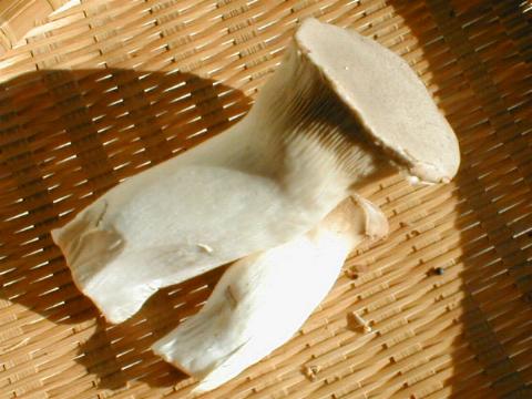 �G�����M