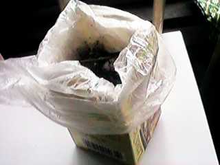 ��z�ւő����Ă����閧�̔�