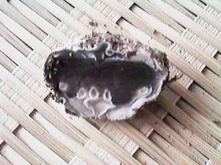 �����l�̗��H