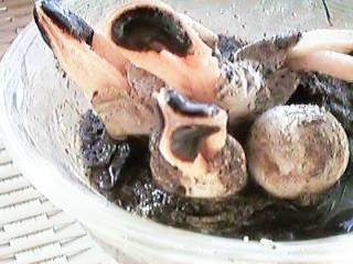 ���A�c�����O���ɁI�I