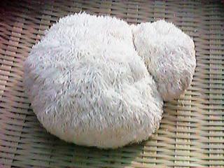 ���}�u�V�^�P