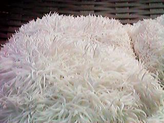 ���}�u�V�^�P