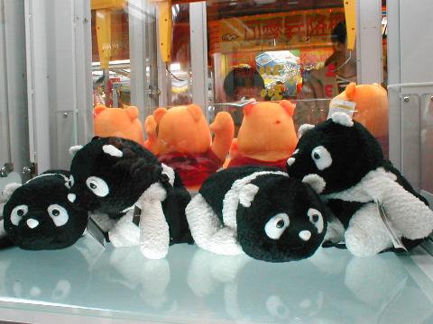 ����̓p���_�Ȃ̂��H