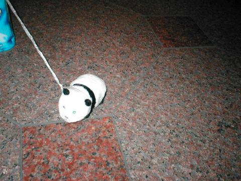 �������ɂ����p���_