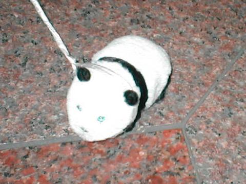 ���̊�ɂ͌��o�����c