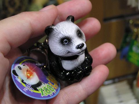 ���A���^�C�v�p���_�H