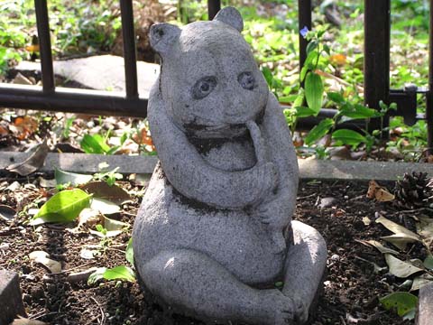 �^�k�c�c����Ȃ��ăp���_�H�I