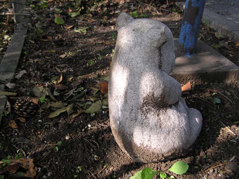 �N�[���ȂȌ�p