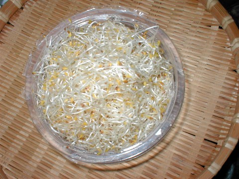 �A���t�@���t�@