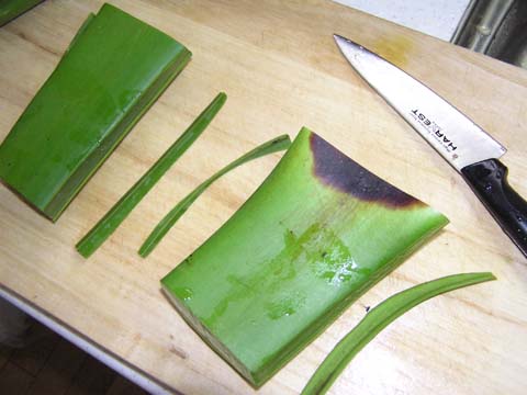 �A���G�x��