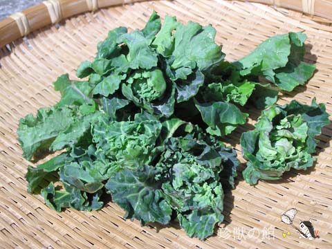 �v�`���F�[��