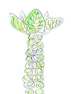 ��L���x�c