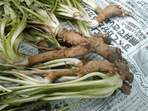 �`�R���̍�