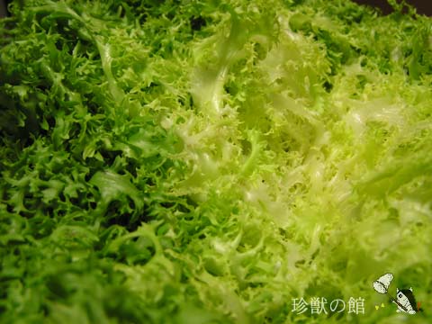 �G���_�C�u�̃T���_