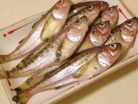 �n�^�n�^�����O�E���^�b�`�ς�