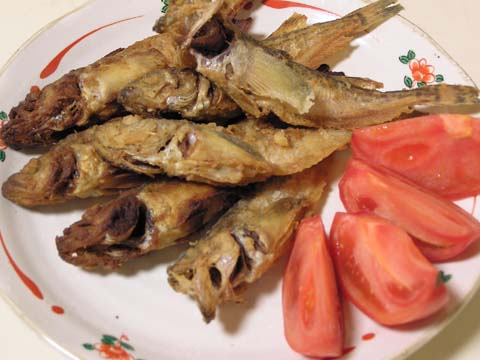 �n�^�n�^�̗g����