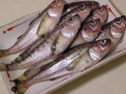 �n�^�n�^�����O�E���^�b�`�Ȃ�