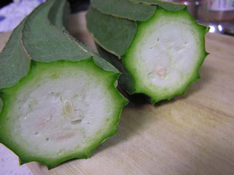 �g�J�h�w�`�}