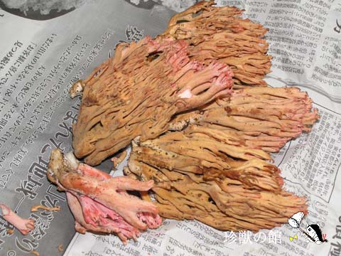 �z�E�L�^�P