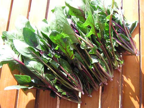 �Ԏ��ق����