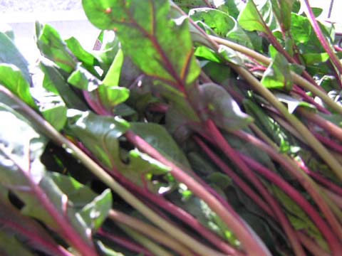 �Ԏ��ق����