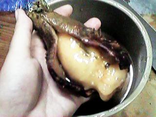 �ł����؂�J��