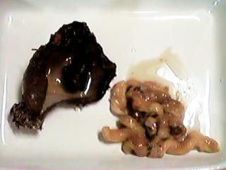 �z���̔�Ɛg